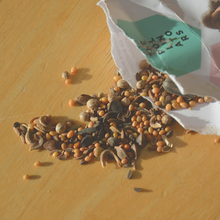 Afbeelding in Gallery-weergave laden, Voedselbank voor Bijen pakket - Voer de Bij Bij 2026